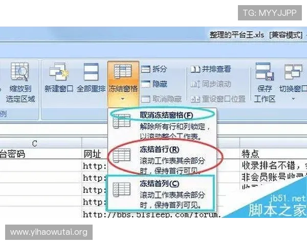 壹号平台官网：最新版本更新内容与操作技巧详解